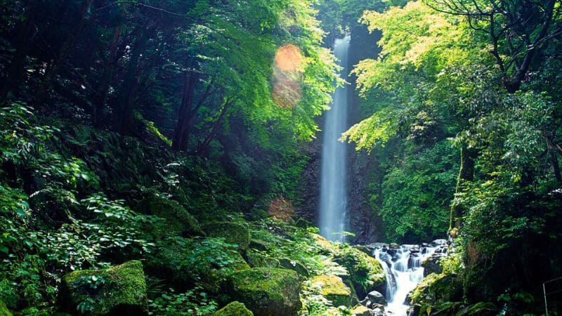 神々しい養老の滝